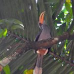 WhatsApp Image 2018-02-24 at 19.45.48