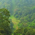 WhatsApp Image 2018-02-24 at 19.45.52