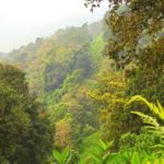 WhatsApp Image 2018-02-24 at 19.45.56