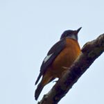 WhatsApp Image 2018-02-24 at 19.45.58