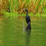 WhatsApp Image 2018-02-24 at 19.46.04