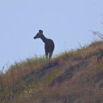 WhatsApp Image 2018-02-24 at 19.46.24