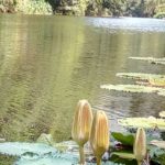 WhatsApp Image 2018-02-26 at 12.05.16