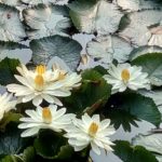 WhatsApp Image 2018-02-26 at 12.05.19